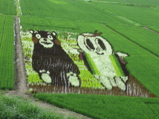 尾花沢で「くまモン」発見！？